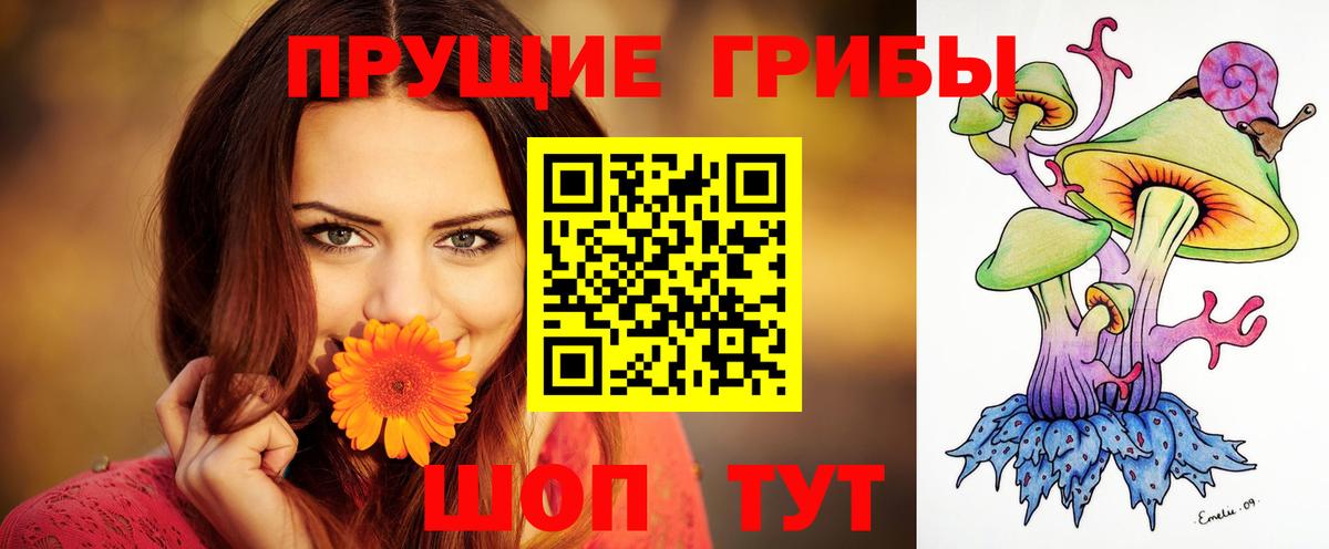 Псилоцибиновые грибы прущие грибы  Галлюциногенные грибы мухоморы  дарнет шоп  Вход с VPN  Каменск-Уральский 